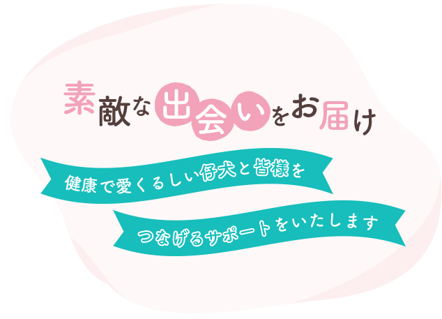 素敵な出会いをお届け